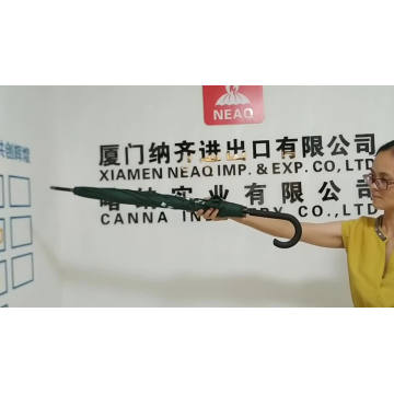 Chine en gros en gros Amazon Top Vendeur Crook J Handle Deco Deco Custom Logo imprimé parapluie pour voyager